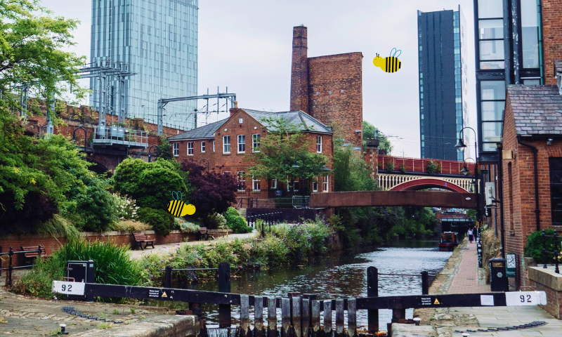 Photo of Manchester featuring canals, red brick mills, and modern skyscrapers.