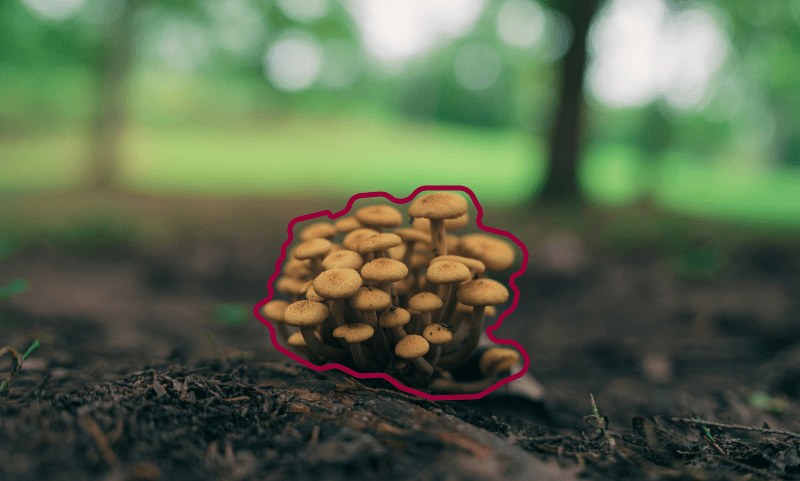 5 topic cluster examples to help you get inspired 