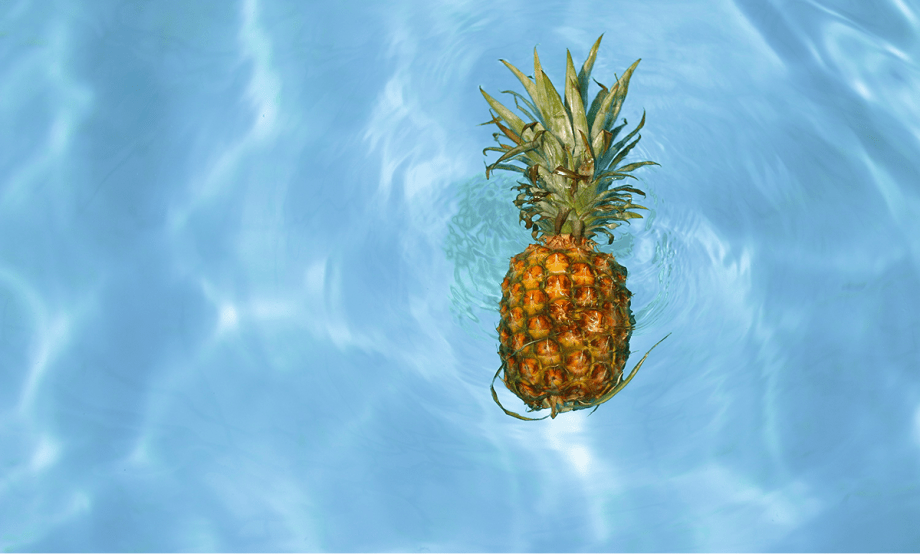 The best content refresh tools to optimise SEO performance in&nbsp;2025