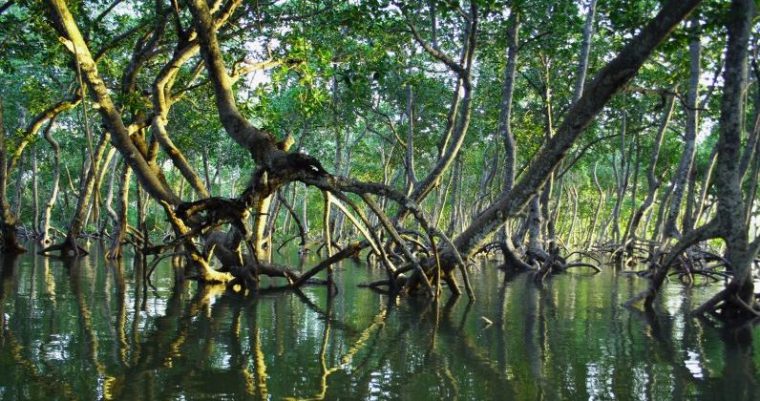 Climate tech marketing: What 12 experts wish every founder&nbsp;knew