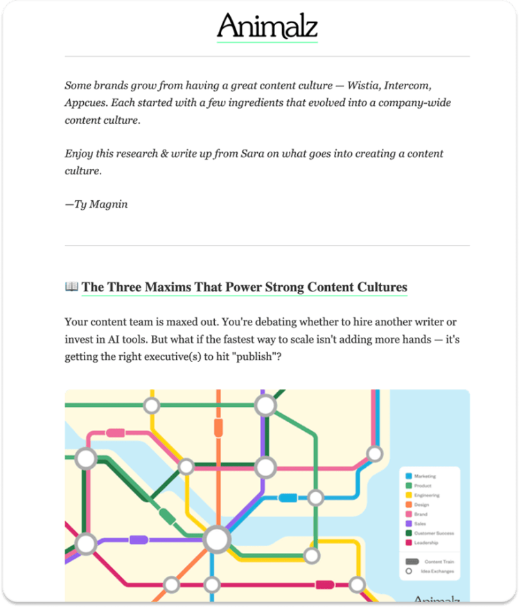 Best content marketing newsletters: Animalz